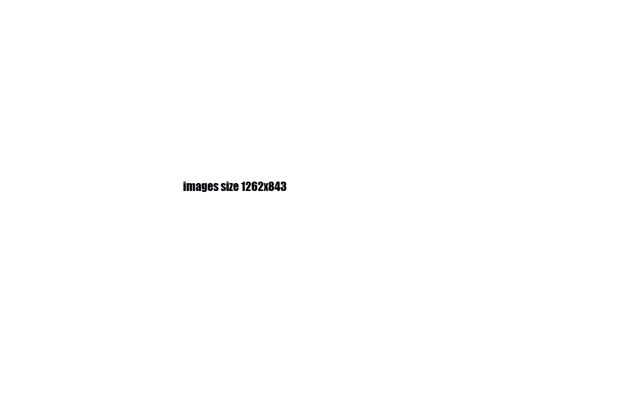 image size 1262x843 image size 1262x843